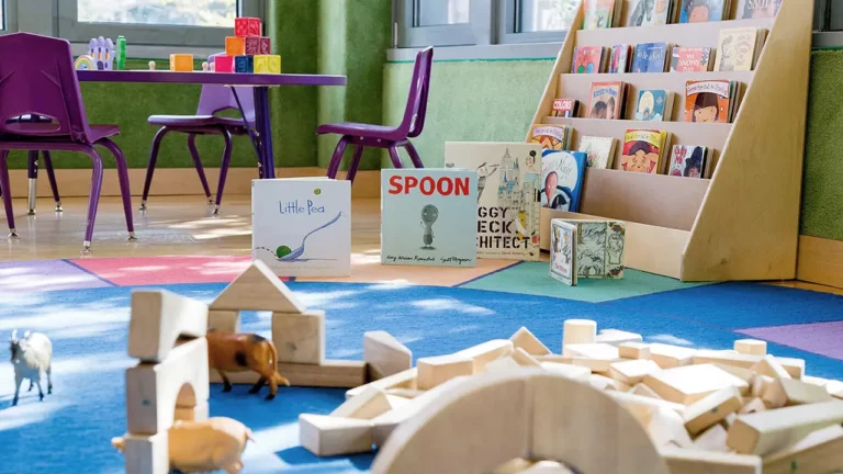 daycare room showing bookshelf and building block toys