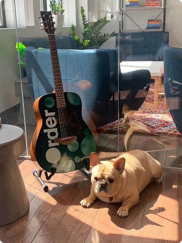 office-pup